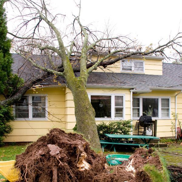 Wind Damage Public Adjuster