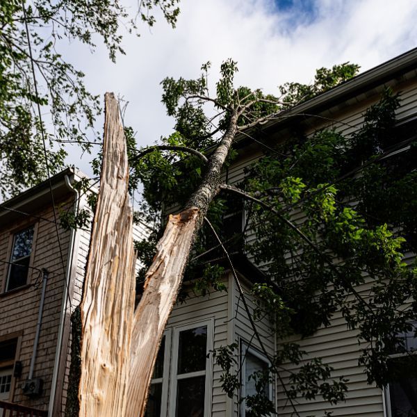 Wind Damage Public Adjuster